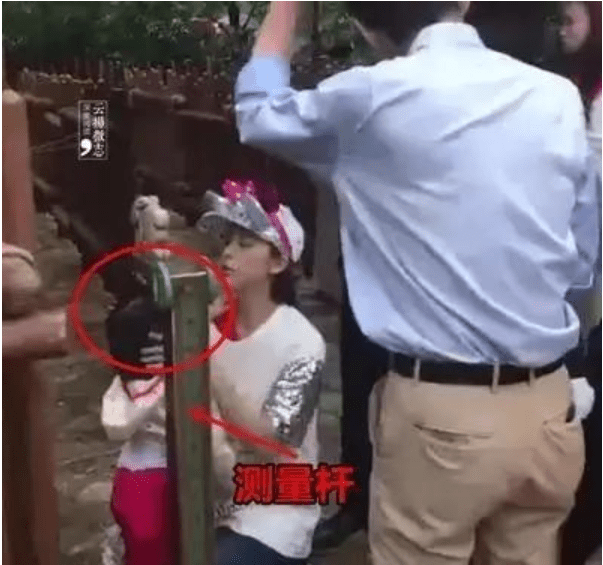 被杜淳追求，38天闪婚闪孕，被迪士尼封杀，黄小