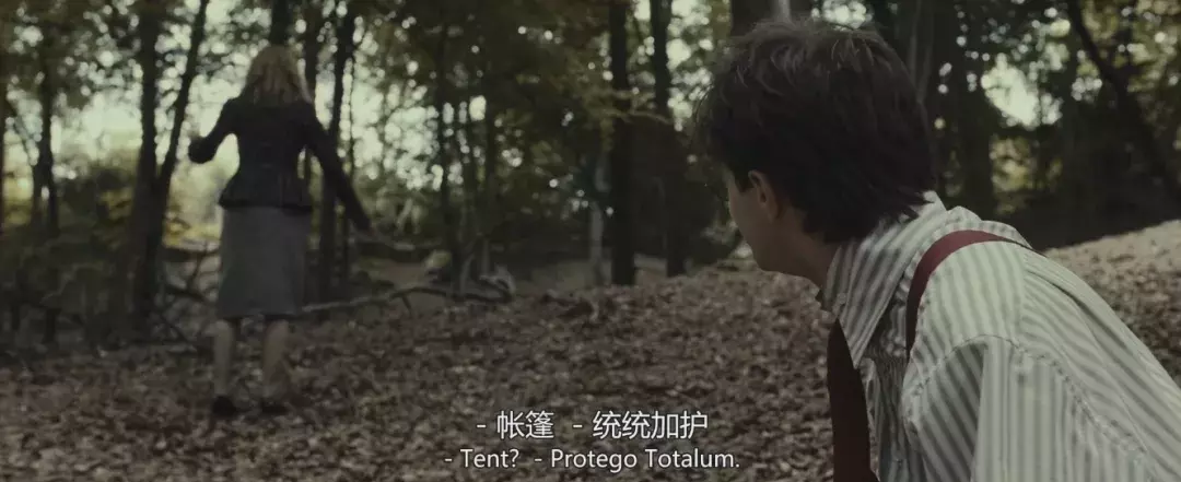 《哈利·波特》魔法世界咒语大全