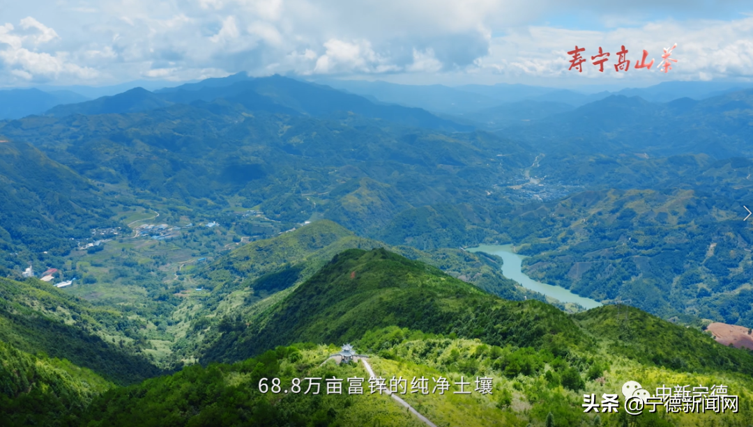 邀您品茗！壽寧高山茶走進第八屆中國西部（西安）茶產業博覽會