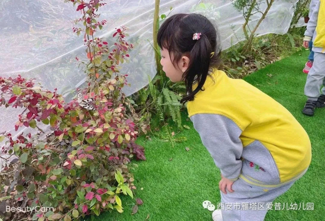 ����عˡ����ն��׶�԰�а�����ѧ��ʵ�߽���δ��