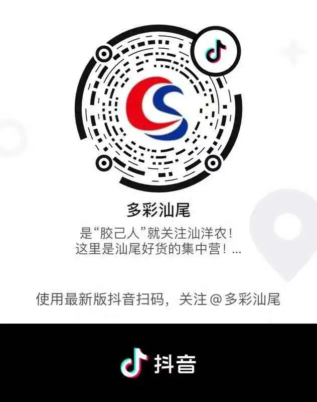 快来看!众多网红齐聚陆丰市陂洋荔枝果园