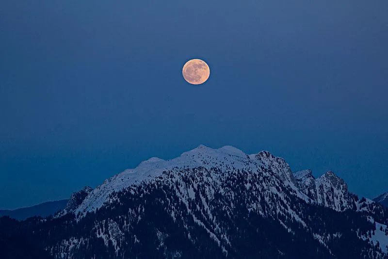 古诗词里的十二月十五，一年中最后的月圆，有雪，有月，有诗意-第6张图片-诗句网
