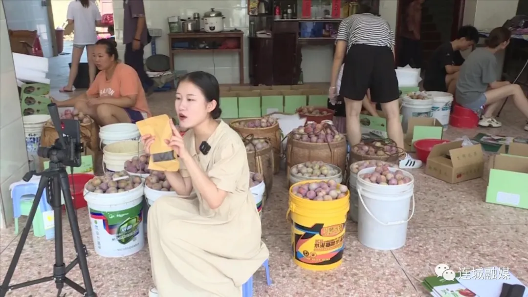 连城四堡：村企“牵手”促产业发展 雾阁村电商直播基地助力芙蓉李销售