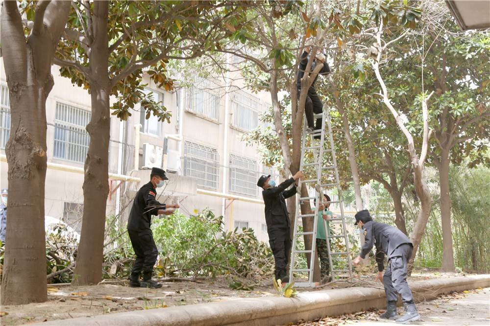 凝心聚力惠民生 一枝一叶总关情 ——记市派金雀山街道东关社区“红领书记”谷雨