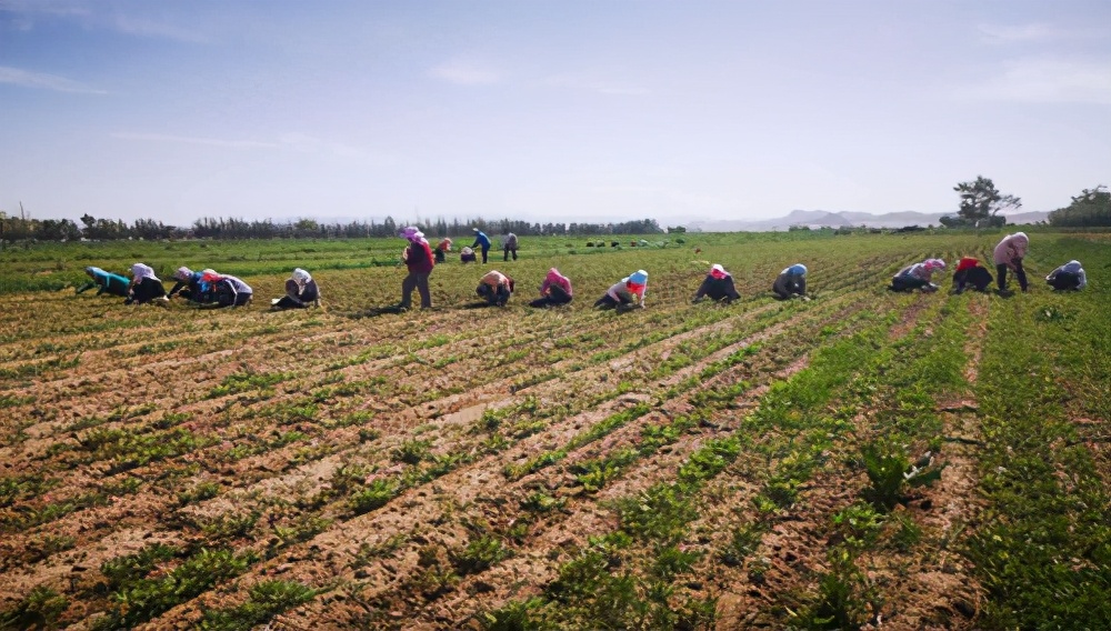 太原新创空间企业孵化园服务团队赴忻州三县考察孵化企业项目