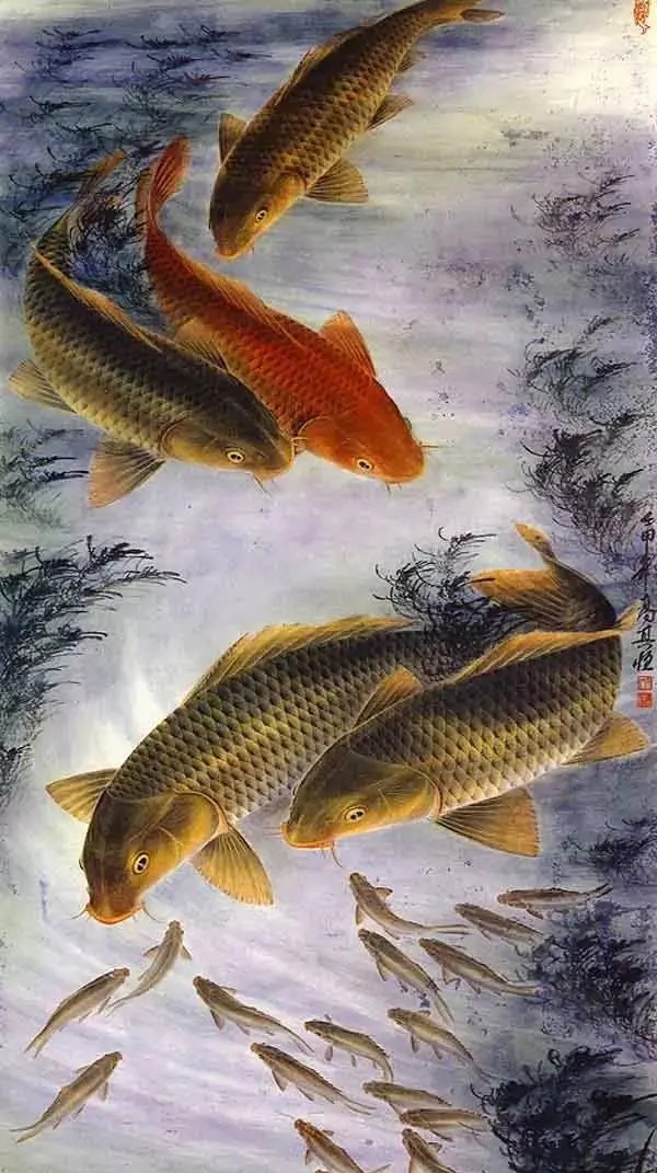 魚(yú)，太漂亮了