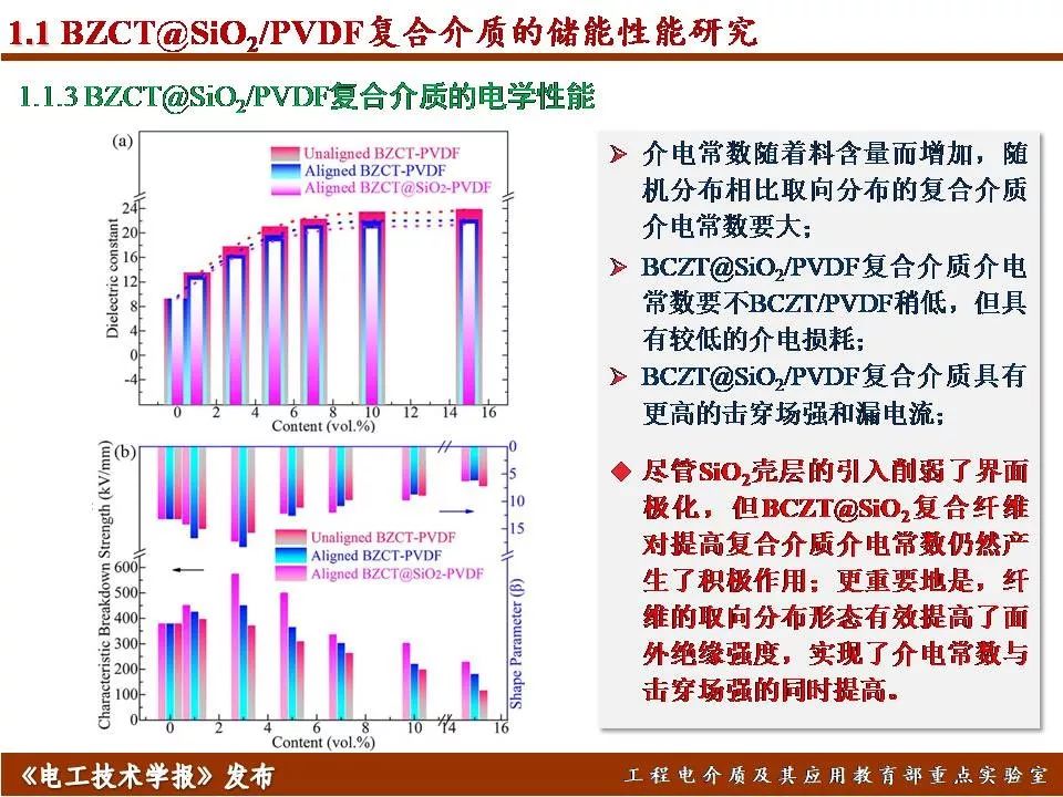 哈爾濱理工大學(xué)遲慶國：儲能型聚合物基絕緣介質(zhì)的效率與密度優(yōu)化