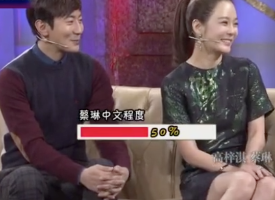 蔡琳高梓淇離婚，這段看似夢(mèng)幻的異國(guó)戀，實(shí)則一地雞毛？