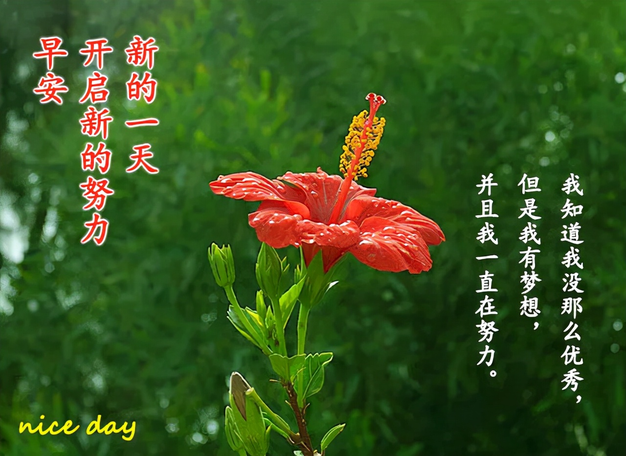 早上好漂亮表情问候祝福文案图片 早上好朋友圈表情图片精华图片