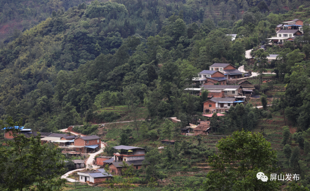夏溪乡环境整治让村庄迎来发展的春天