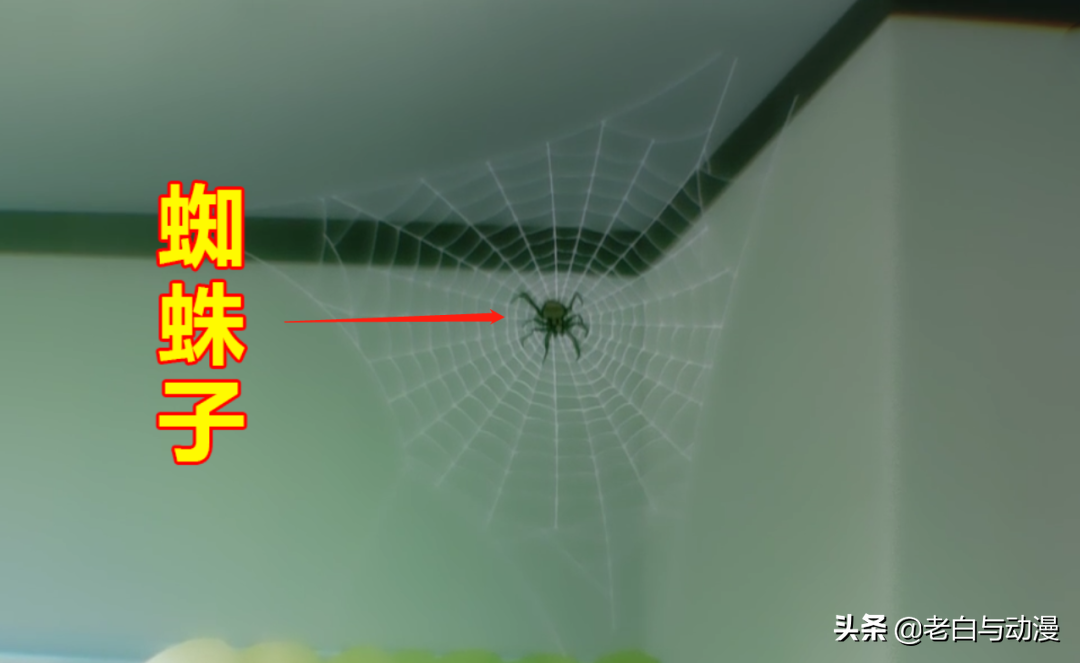 轉生前的蜘蛛子登場，你發現了嗎？