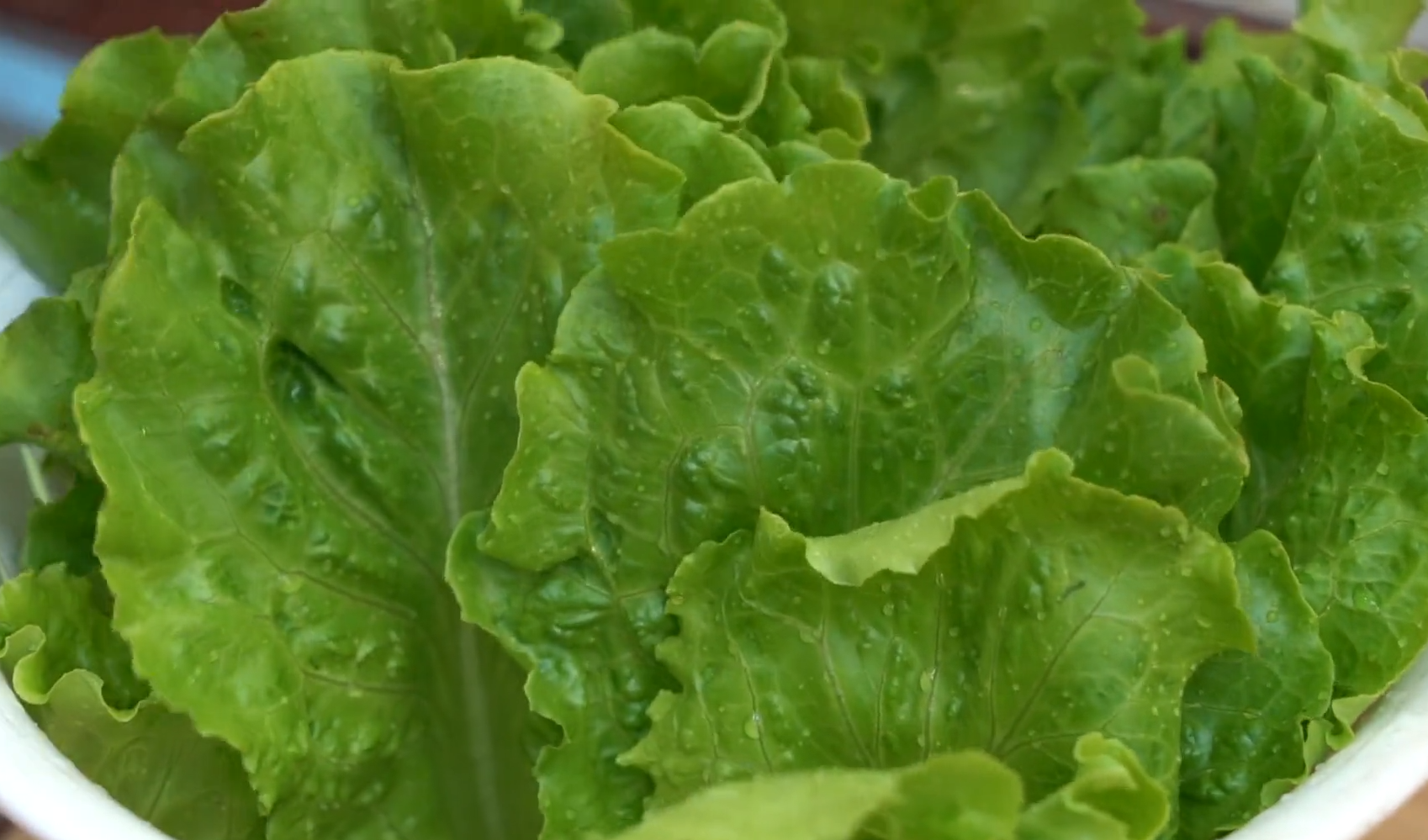 豆腐加一塊五花肉，教你沒吃過的做法，葷素搭配，香到流口水