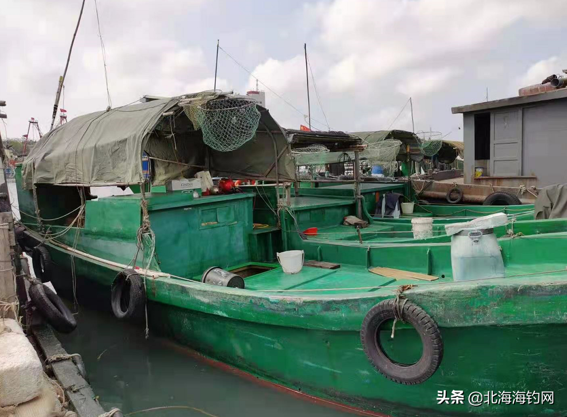 去北海生蚝养殖基地，钓鱼捕鱼喝海鲜粥