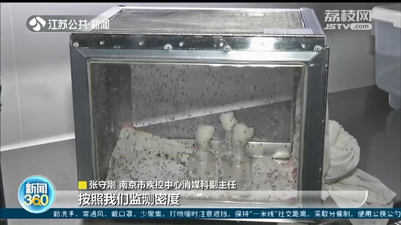 南京9月将迎来&ldquo;秋蚊子&rdquo;小高峰 今年蚊子比去年少