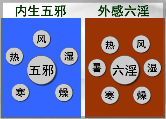 中医所说的