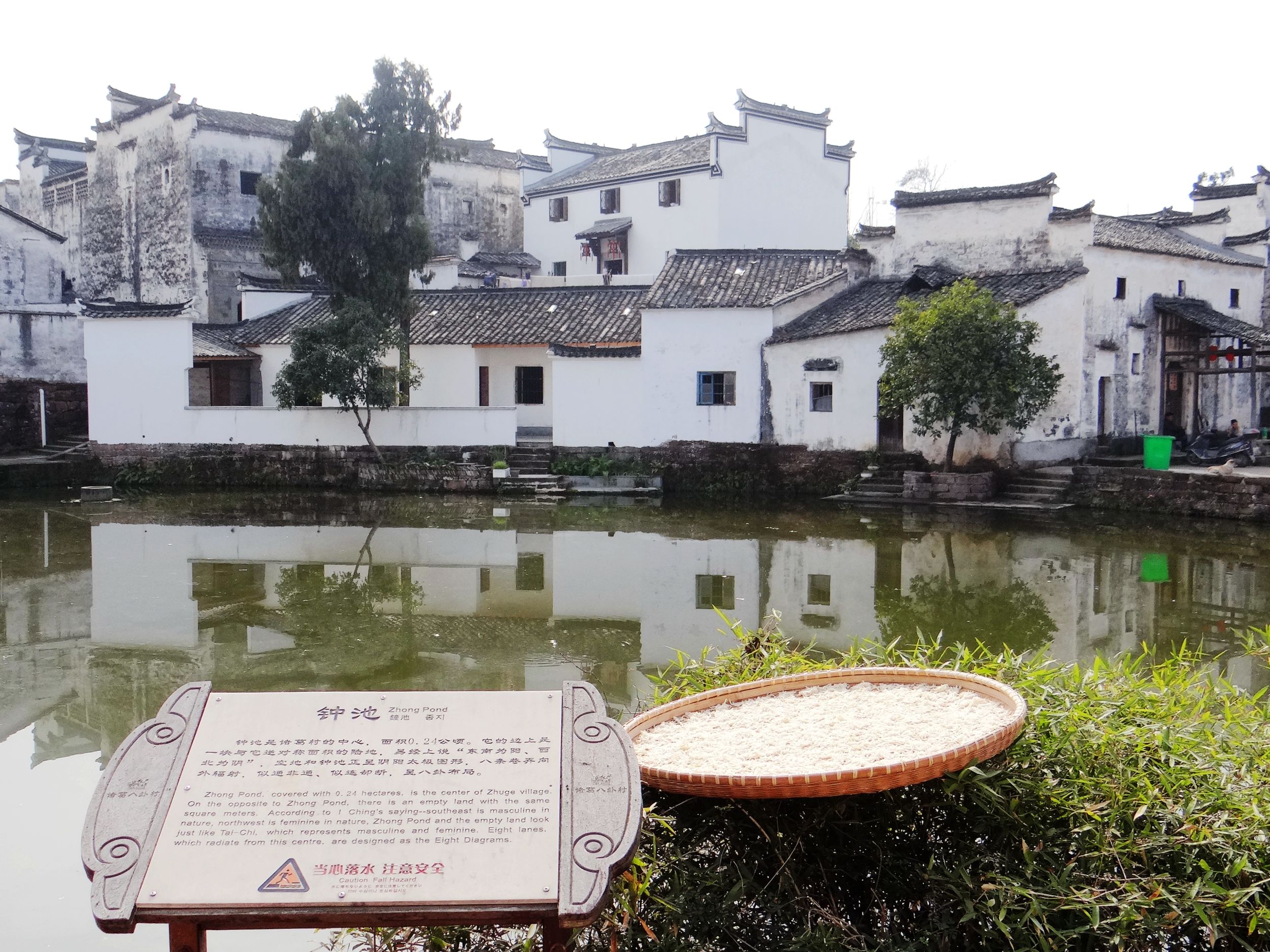 诸葛八卦村构建神奇，后世子孙多以医药为业，这是为了什么原因？