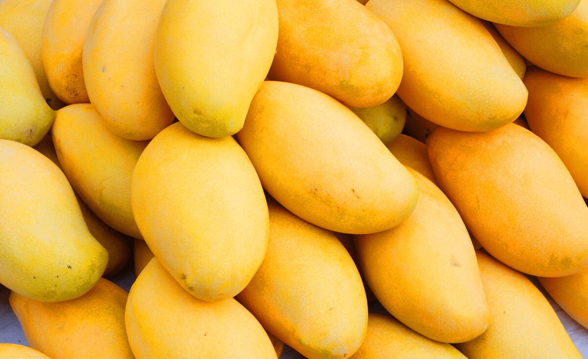 買芒果別只會挑大的，學會這4招，肉厚核薄香又甜，不花冤枉錢