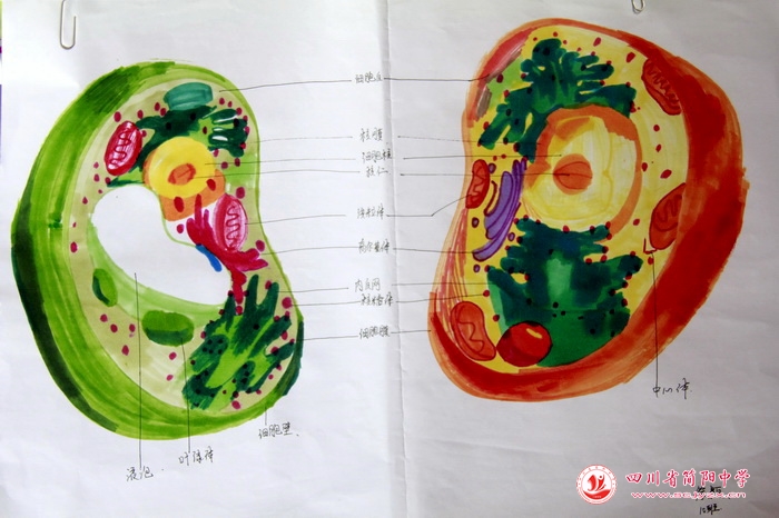 四川省简阳中学怎么样?首届生物学科节(图16)