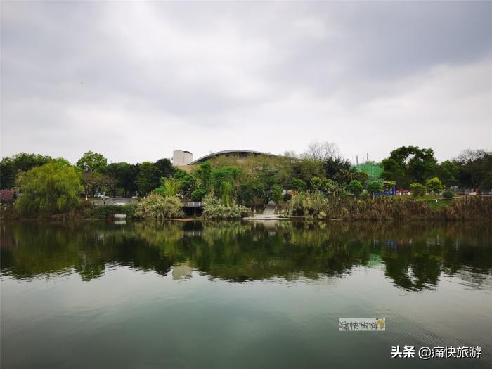 世界水日丨保护母亲河 让自贡因河而美
