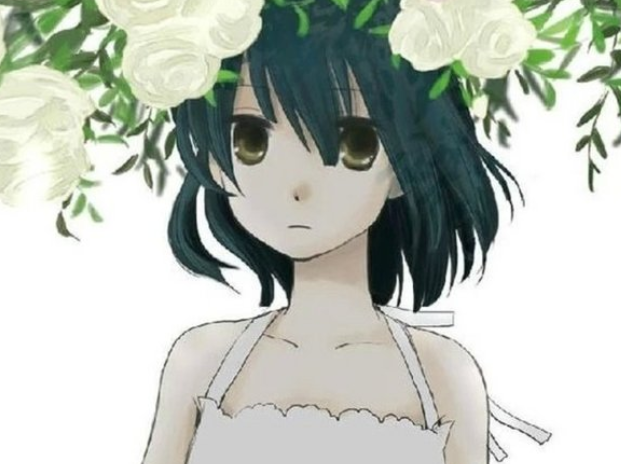 一个女人最迷人的活法