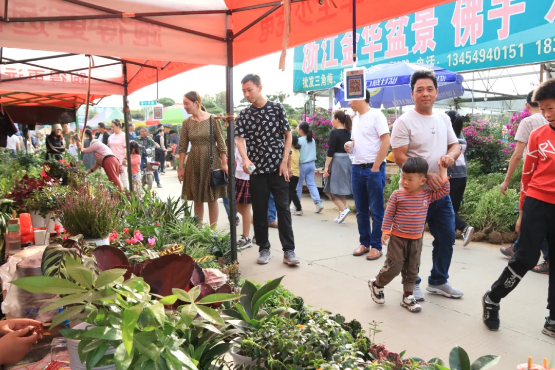 江苏沭阳：国庆时期花木买卖额达8.2亿元