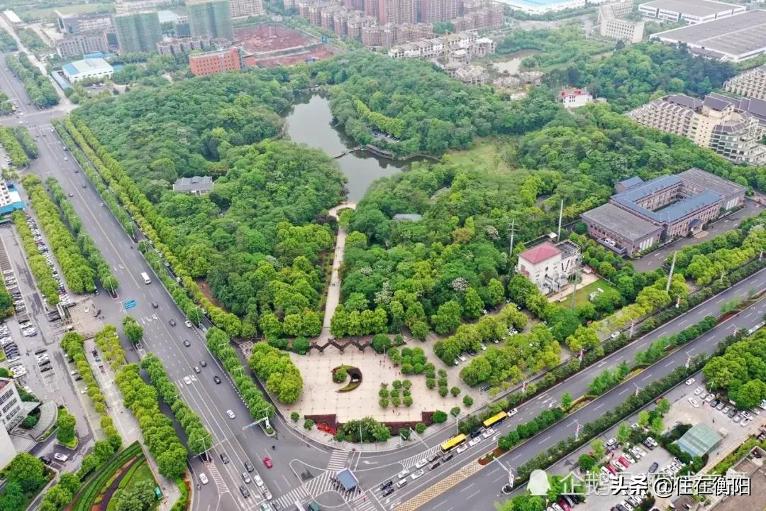 步步高、连卡福门口要建地下通道?来看看吧