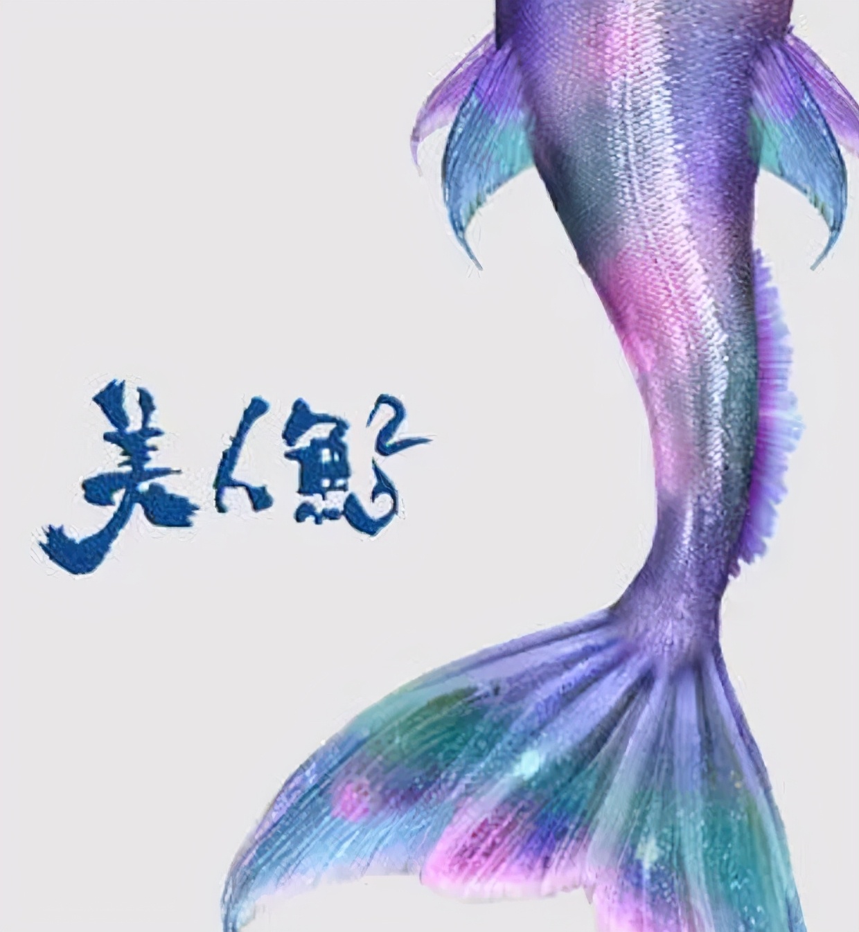 即将上映的国产大片：古天乐《寻秦记》，战争巨制《长津湖》