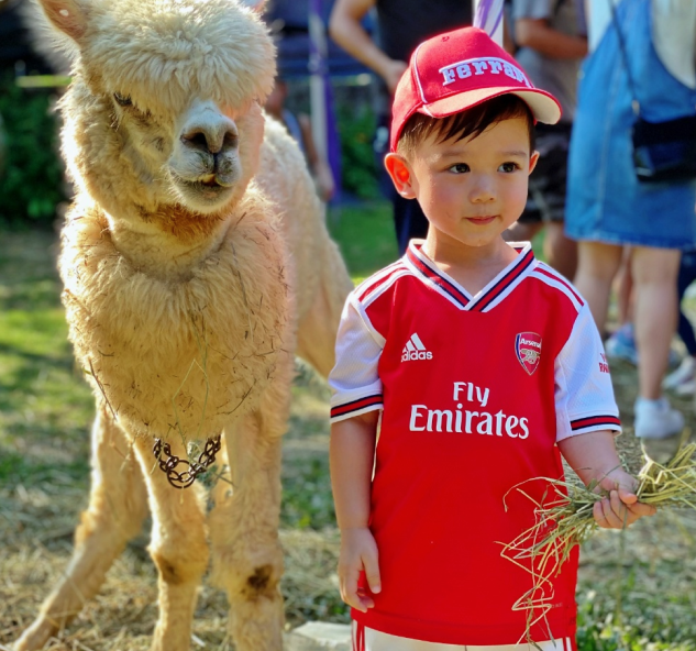 胡杏儿老公分享儿子第一天上学，奕霆不哭不闹与爸爸碰拳告别