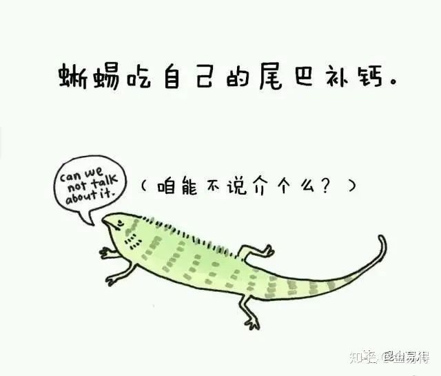 30個(ge) 有趣的科普小星空体育官网入口网站，你知道幾個(ge) ?