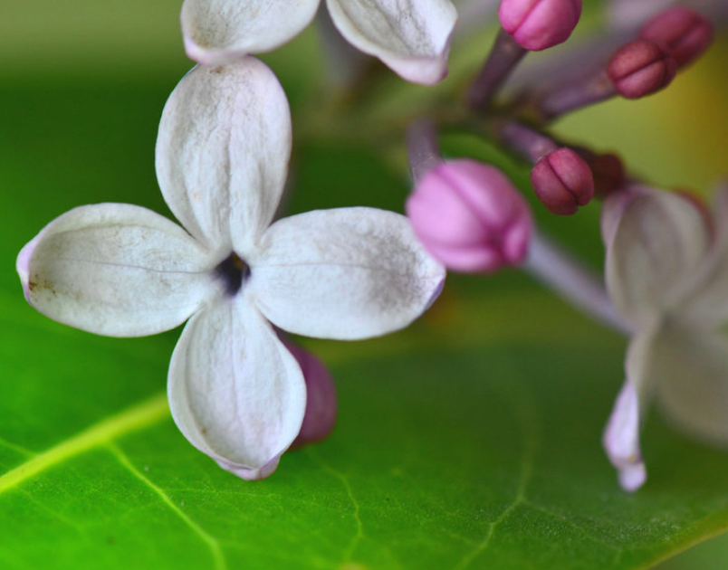 71岁老人说：人与人之间，不能看得太清楚，看得太清，你就败了