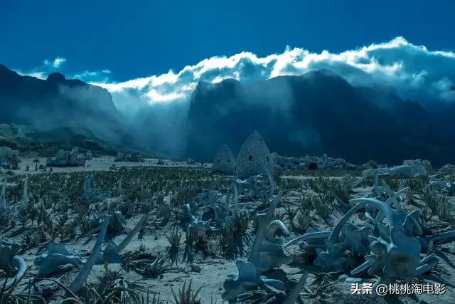 九月,竟然有这么多好剧开播