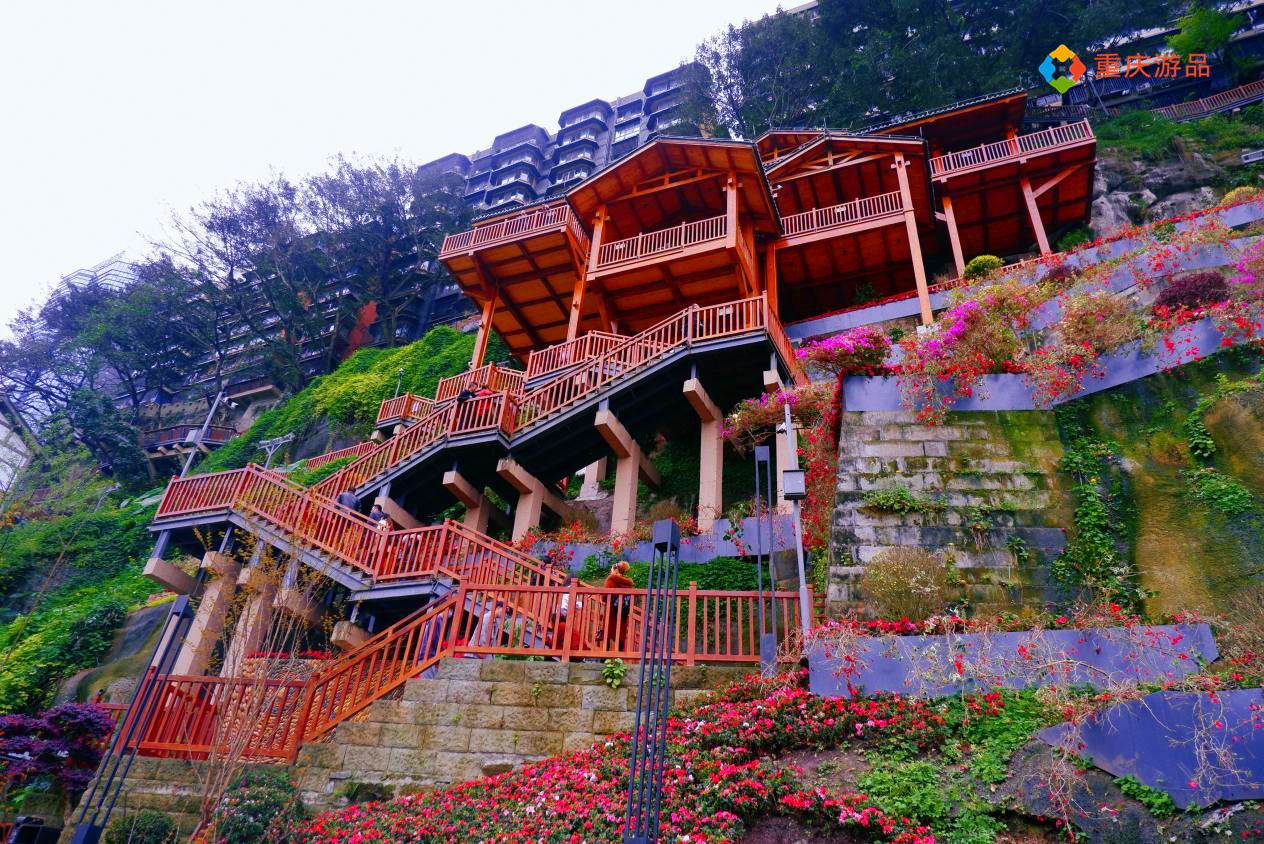 神奇的重庆戴家巷崖壁步道：高低落差60米，300米栈道都悬空