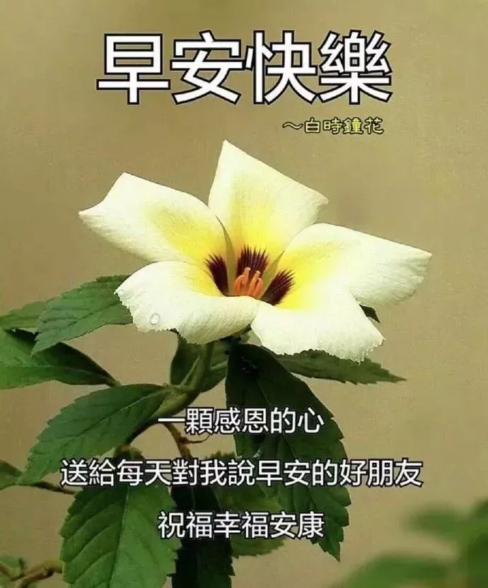 微信早晨好图片动画大全 早上好问候语阳光句子图片