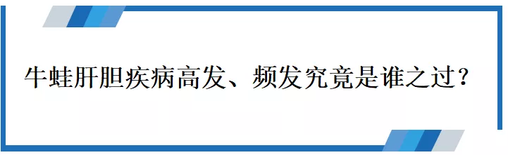 谁之过？牛蛙肝脏肿大、脂肪肝等肝胆疾病多发，如何进行有效防治