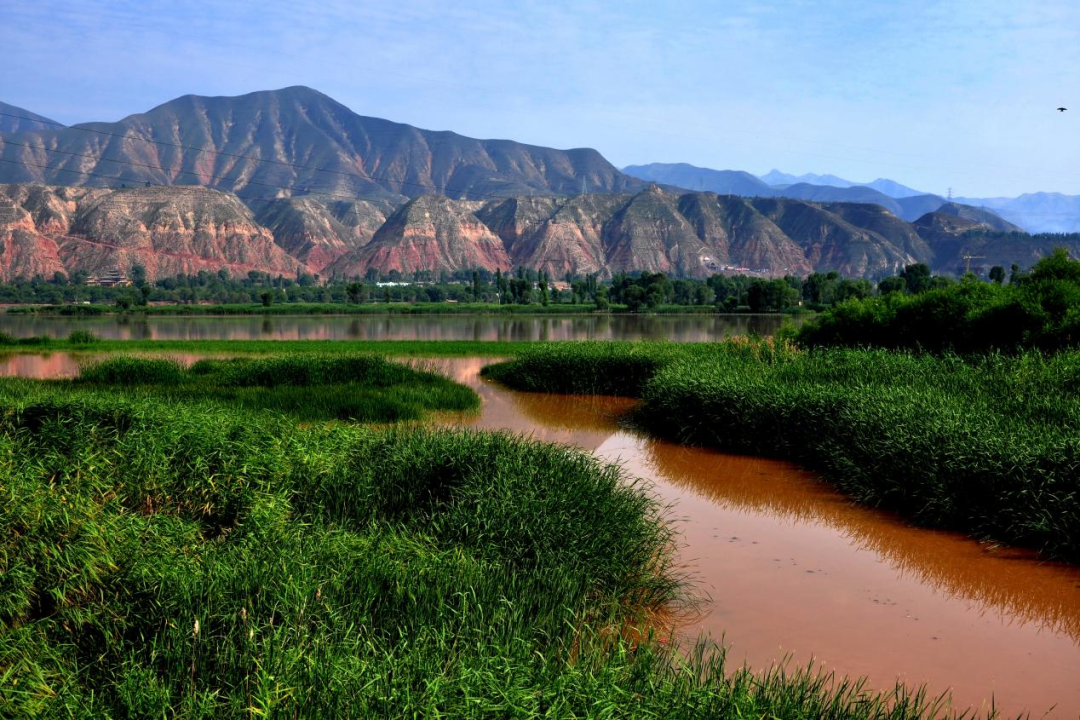 美了乡村 乐了群众 田园综合体带来新潮流