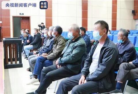 为母治病抓490只壁虎？河南两男子涉嫌犯罪被捕，壁虎不能乱抓