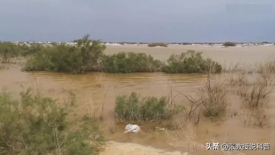 全球变暖，塔克拉玛干沙漠遭遇罕见洪水，未来会变成绿洲吗？