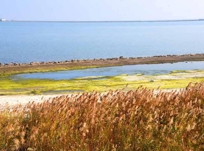 江苏旅游：探秘启东长江入海口（图）
