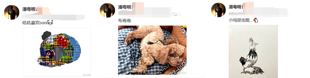 潘粤明画热趴熊猫，昨日帅气人设“崩塌”，网