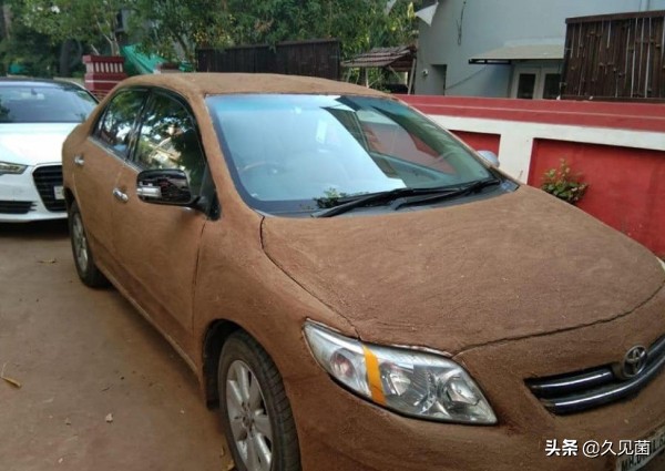 印度用牛糞做出了芯片？ 預計大量出口美國，還能遏制疫情