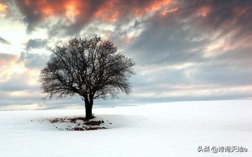 絕對原創 北木冬吟 七古 Mp頭條