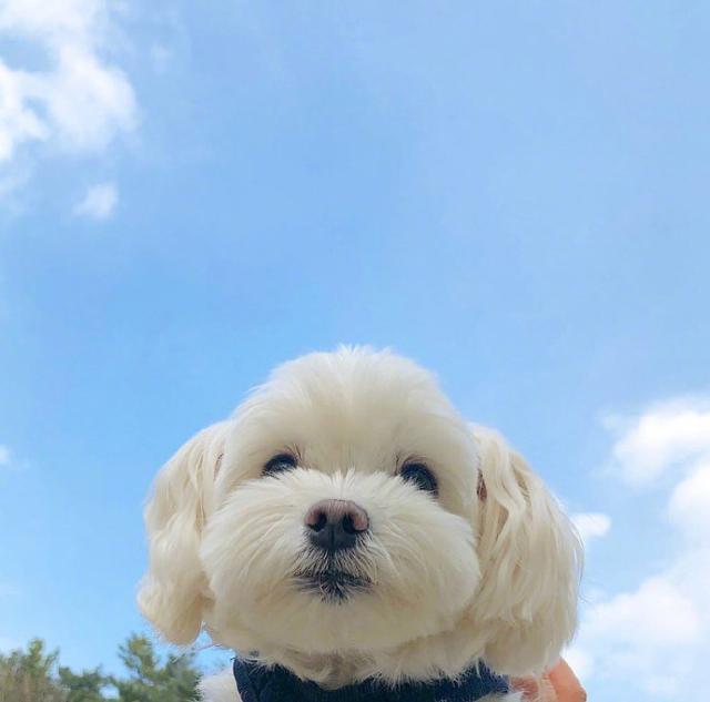 睡前发个朋友圈晚安语 吸引人的晚安朋友圈图片