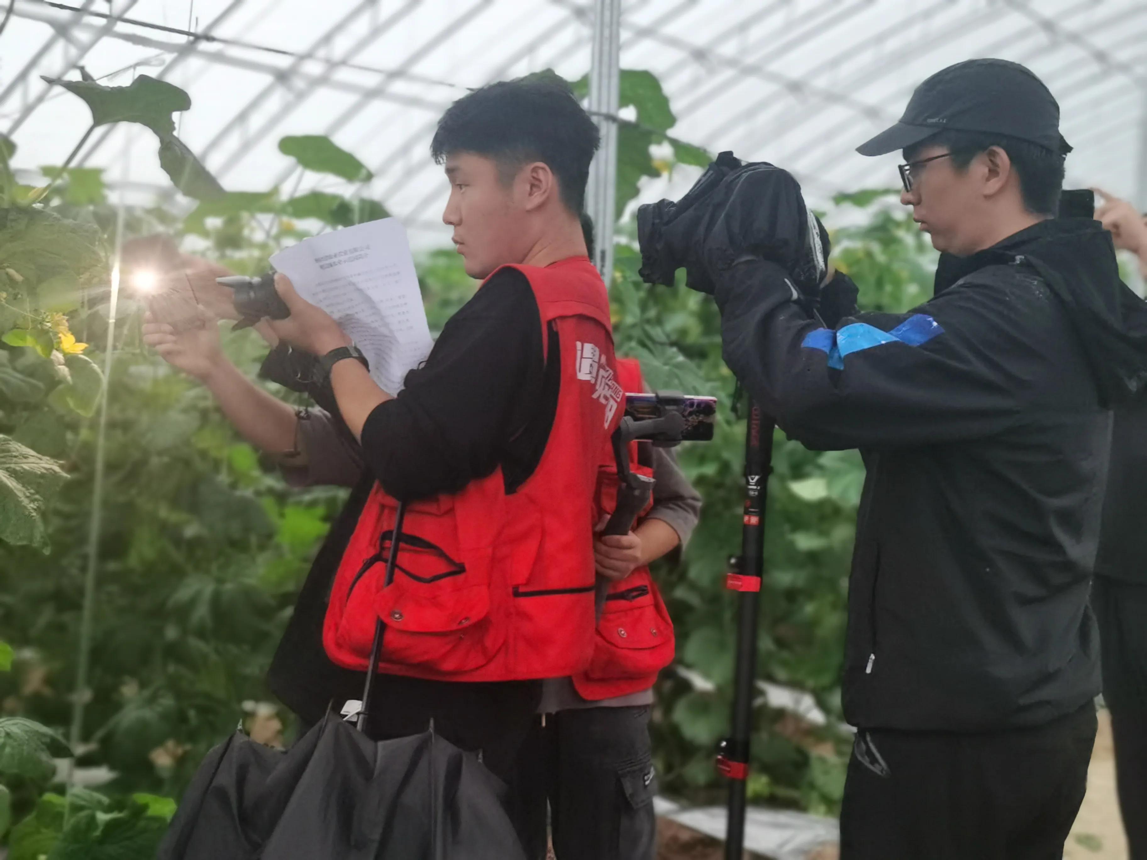 网络大V看咸阳：承红色基因 叙咸阳发展