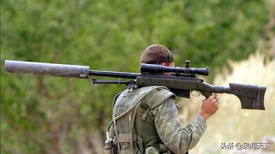 如果你是一名狙击手，这些狙击枪中，如果首选