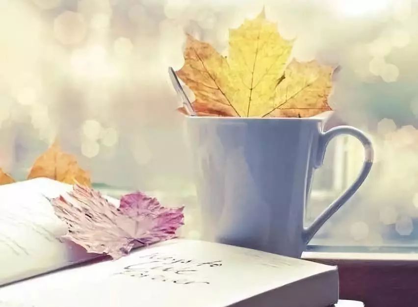 感觉人老了的精辟句子 老年人朋友圈经典语录图片