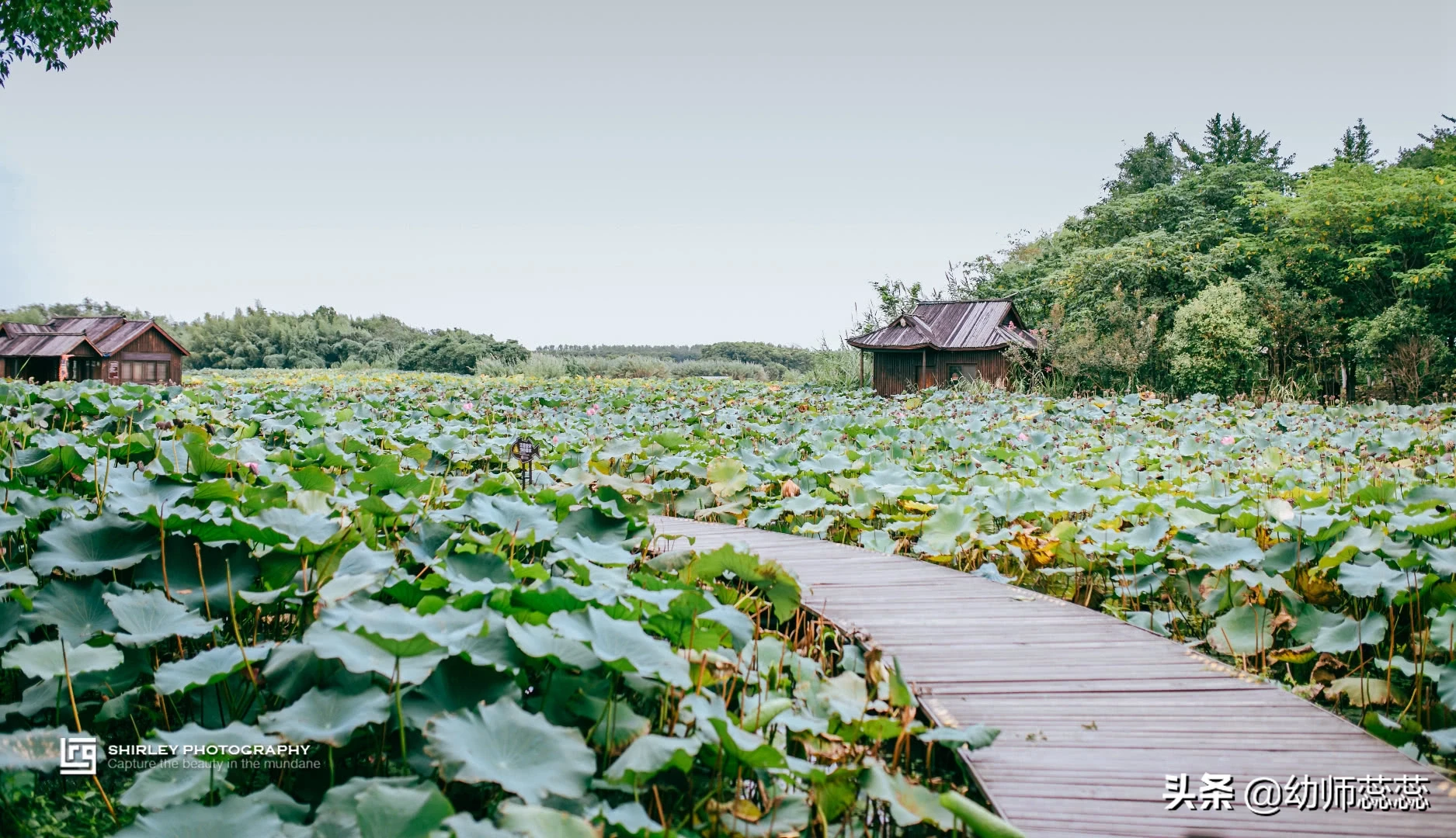 中国最霸气的省，人均GDP全国第一，13个地级市都