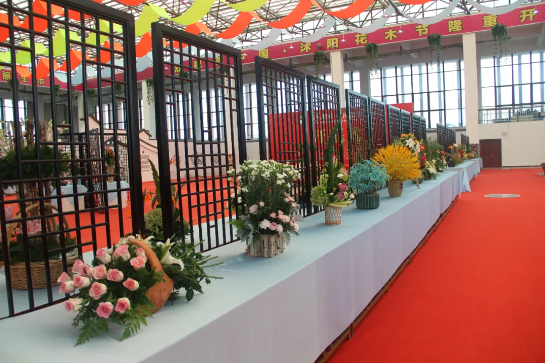 大飽眼福，第八屆中國沭陽花木節竟如此精彩！你想看的全在這里…