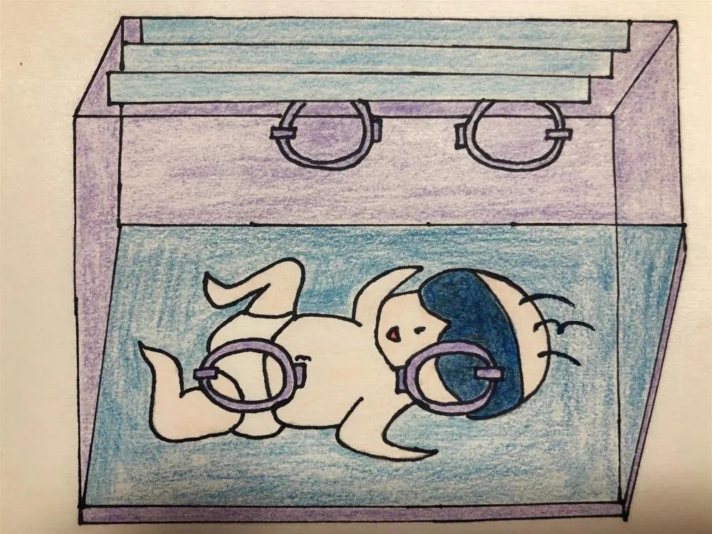 健康科普大赛获奖作品展示③|新生儿黄疸早知道