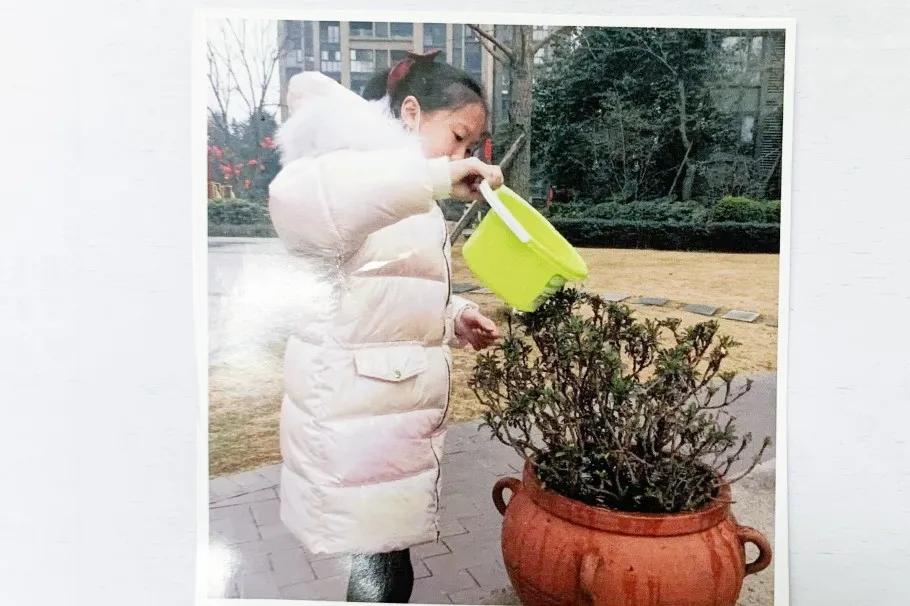 学雷锋，树新风，双流区公兴小学少年在行动