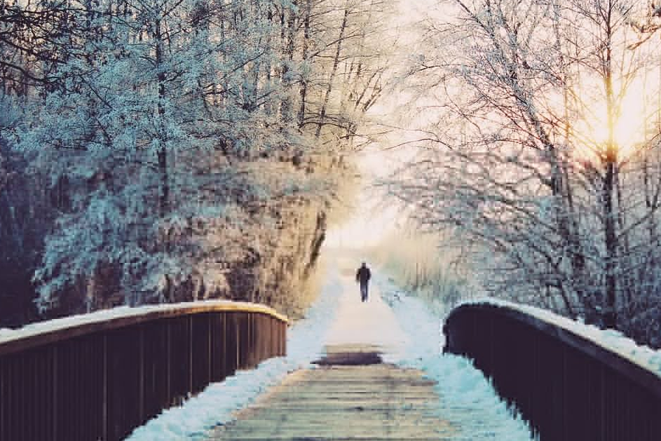 多国大雪纷飞！近十国港口大面积延误